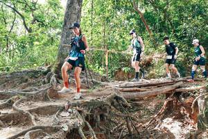 BIB: 
                            <button type="button" onclick="openModal(27718929)" class="btn btn-primary btn-sm float-right btn-popup" data-toggle="modal" data-target=".modal-high-quality">
                        <i class="fas fa-shopping-cart"></i> Add to Cart
                    </button>
                                            <button type="button" onclick="isThisMe(27718929, true)" class="btn btn-success btn-sm float-right btn-popup btn-isme hidden" data-toggle="tooltip" data-placement="bottom" title="นี่คือรูปของคุณใช่ไหม คลิกที่นี่เพื่อเอาเข้าอัลบั้ม">
                        <i class="fas fa-plus"></i> Add to album
                    </button>
                    <button type="button" onclick="isThisMe(27718929, false)" class="btn btn-warning btn-sm float-right btn-popup btn-isnotme hidden">
                        <i class="fas fa-ban"></i> Remove from album
                    </button>